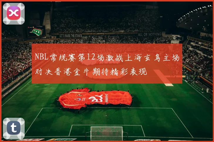 NBL常规赛第12场激战上海玄鸟主场对决香港金牛期待精彩表现
