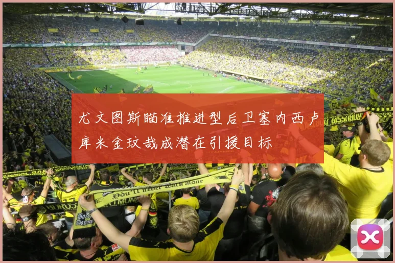 尤文图斯瞄准推进型后卫塞内西卢库米金玟哉成潜在引援目标